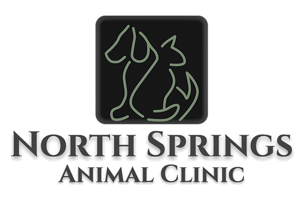 north-springs-animal-clinic-logo-new